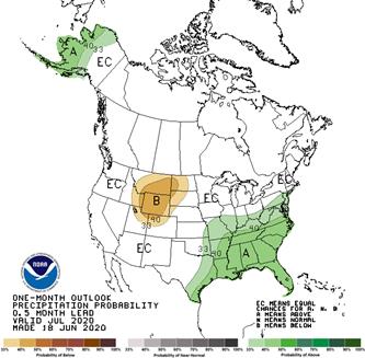 30-day outlook - Precipitation Probability