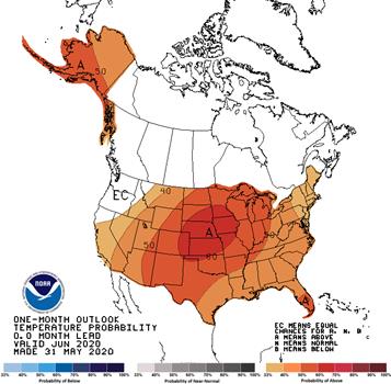 30-day outlook - Temperature Probability