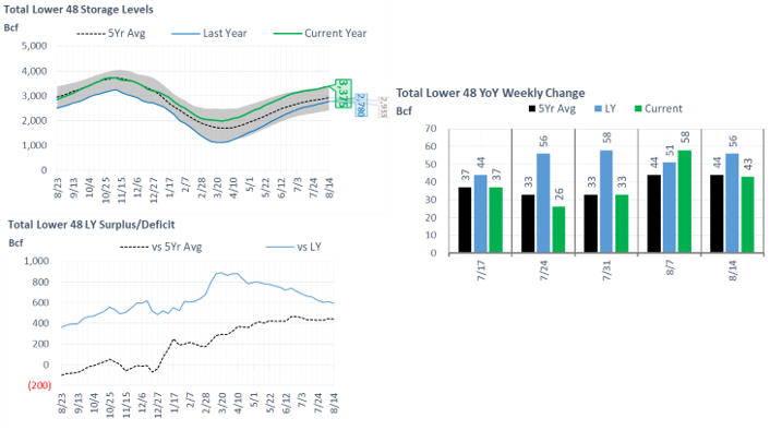 Daily Market Report – August 21, 2020