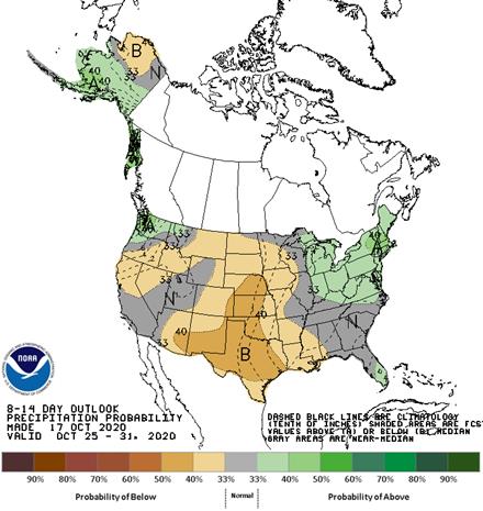 8 to 14 Day Outlook - Precipitation Probability