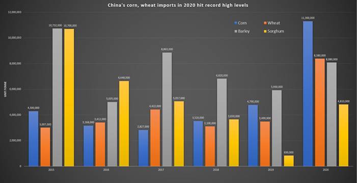 Chart, bar chart
Description automatically generated