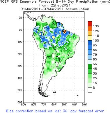 SA Week 2 Accum Precipitation (mm) Forecast