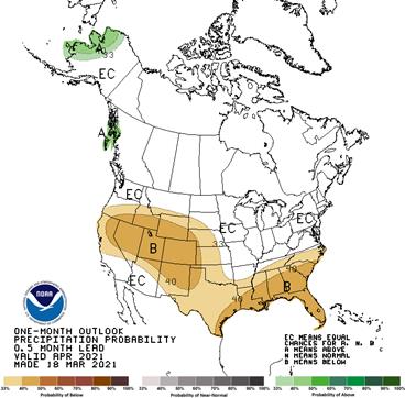 30-day outlook - Precipitation Probability