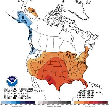 30-day outlook - Temperature Probability