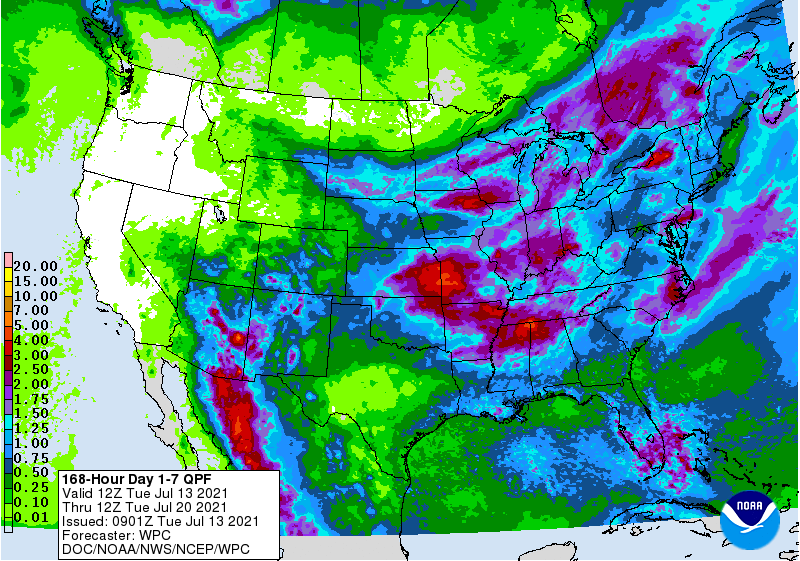 FI Evening Grain Comments 07/13/21