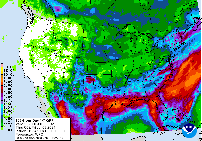 FI Evening Grain Comments 07/01/21