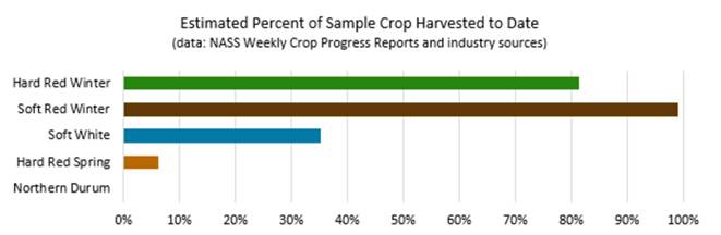 Chart, bar chart

Description automatically generated