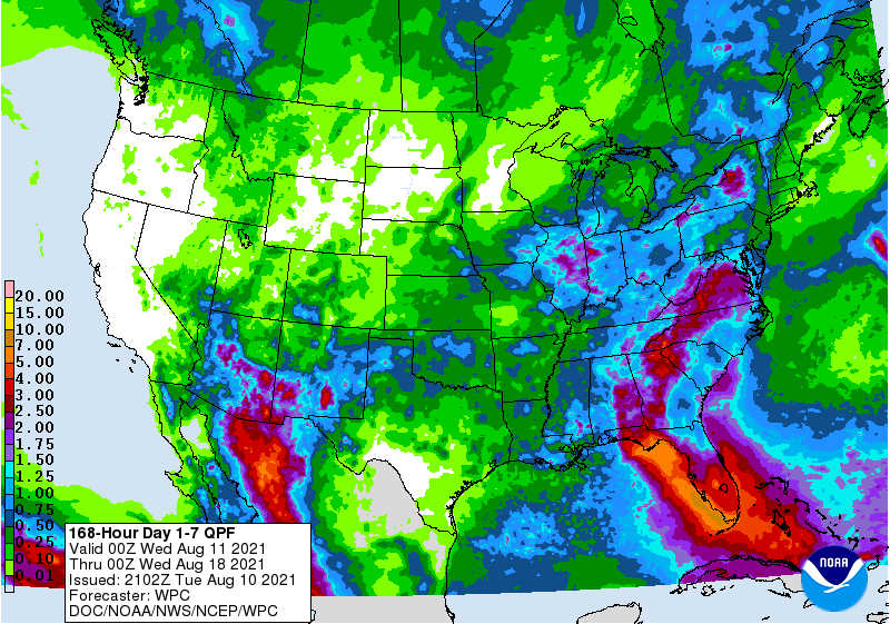 FI Evening Grain Comments 08/10/21 – correction