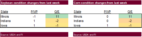 FI Evening Grain Comments 08/09/21