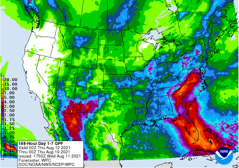 FI Evening Grain Comments 08/11/21