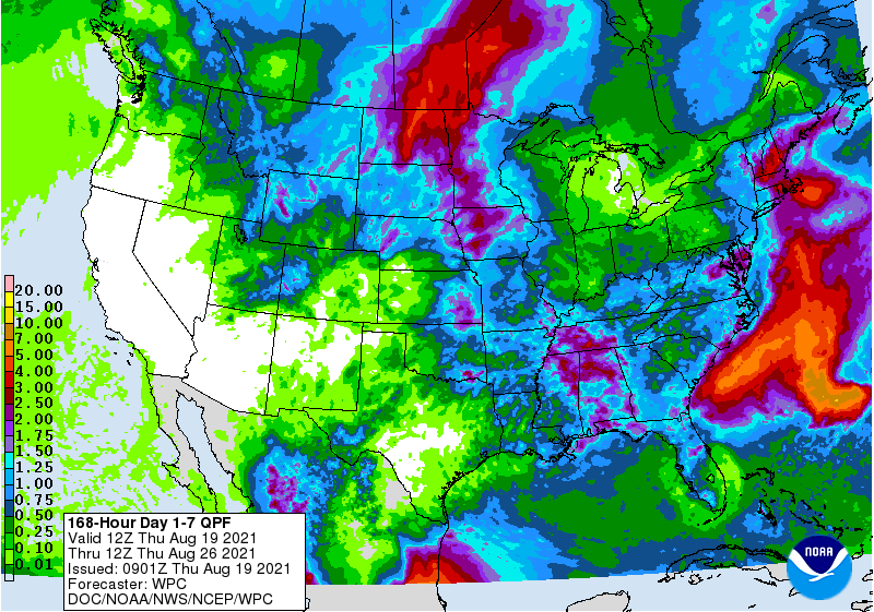 FI Evening Grain Comments 08/19/21