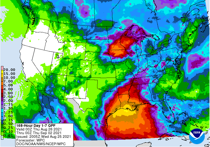 FI Evening Grain Comments 08/25/21