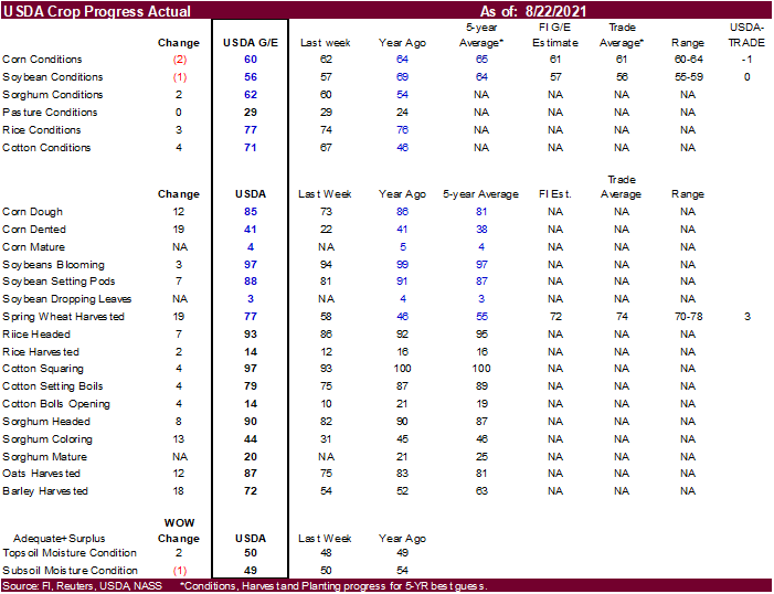 FI Evening Grain Comments 08/23/21