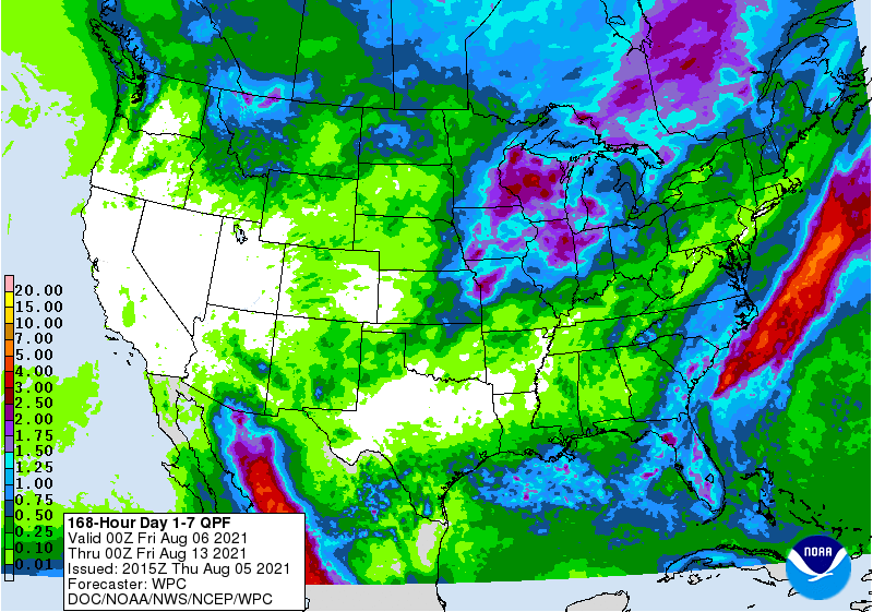 FI Evening Grain Comments 08/05/21