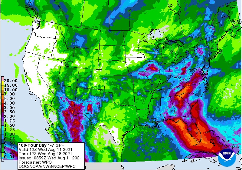 FI Morning Grain Comments 08/11/21