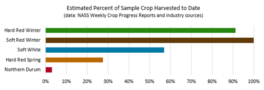 Chart, bar chart

Description automatically generated