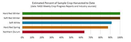 Chart, bar chart

Description automatically generated