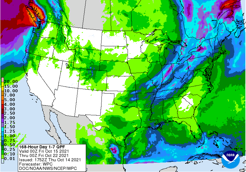 FI Evening Grain Comments 10/14/21