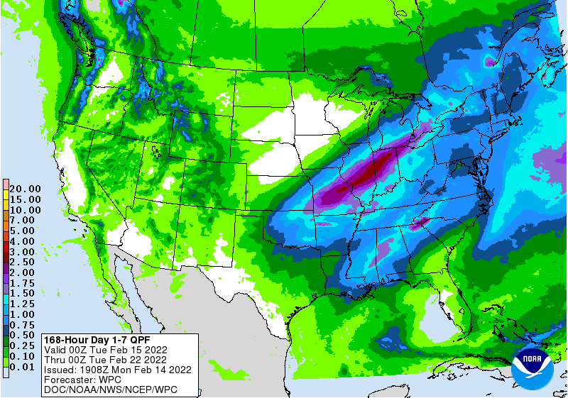 FI Evening Grain Comments 02/14/22