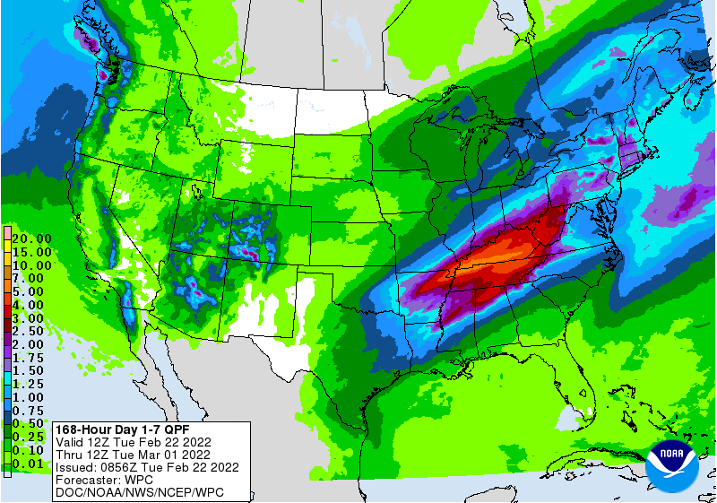 FI Morning Grain Comments 02/22/22