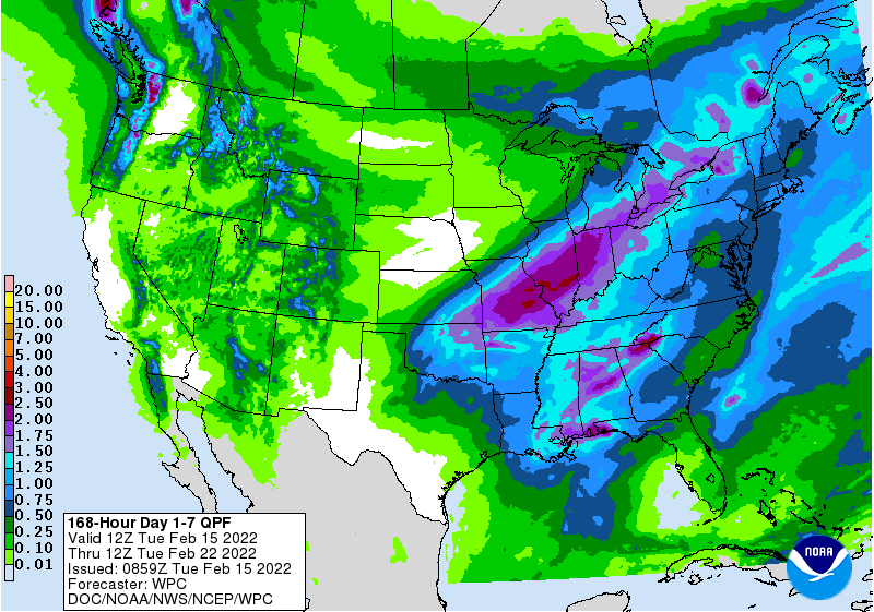 FI Evening Grain Comments 02/15/22