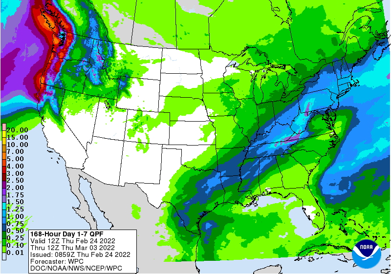 FI Evening Grain Comments 02/24/22