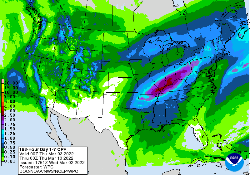 FI Evening Grain Comments 03/02/22