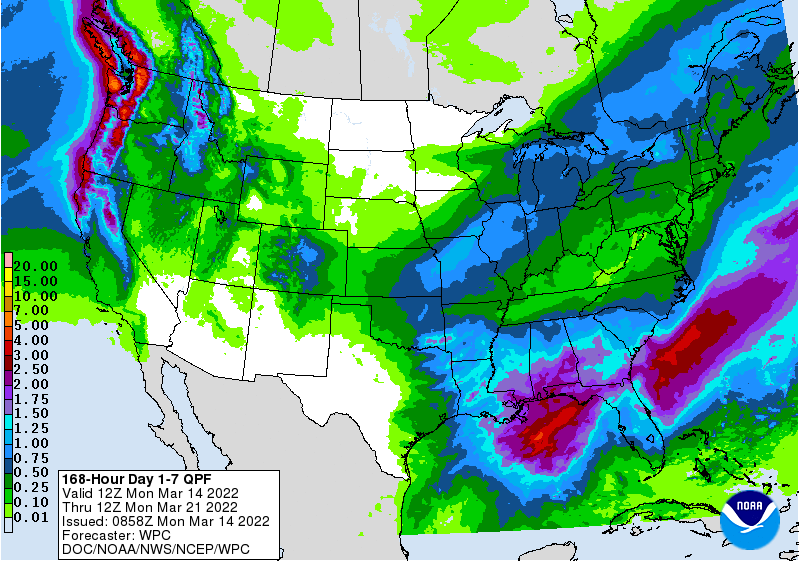 FI Evening Grain Comments 03/14/22