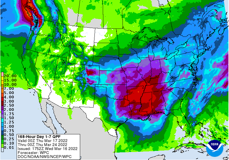 FI Evening Grain Comments 03/16/22