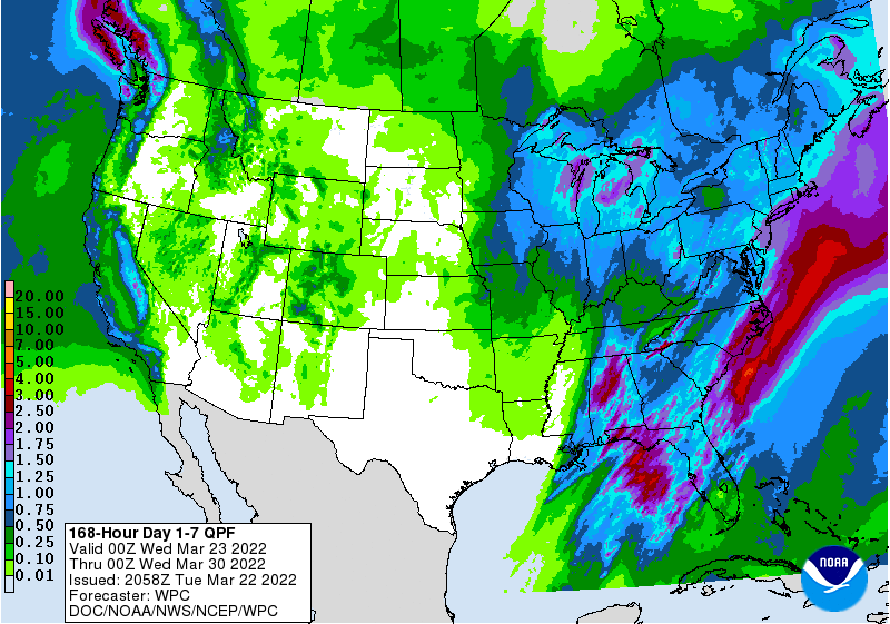 FI Evening Grain Comments 03/22/22