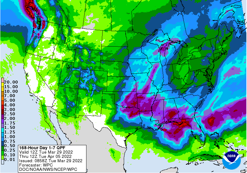 FI Evening Grain Comments 03/29/22