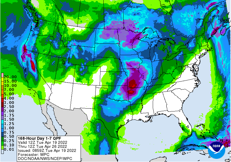 FI Evening Grain Comments 04/19/22