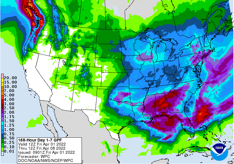 FI Morning Grain Comments 04/01/22