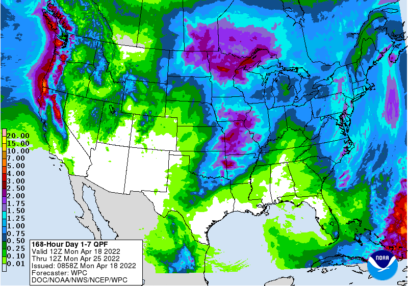 FI Evening Grain Comments 04/18/22