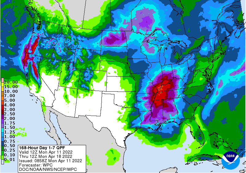 FI Morning Grain Comments 04/11/22