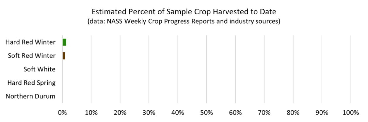 Chart, bar chart, histogram

Description automatically generated