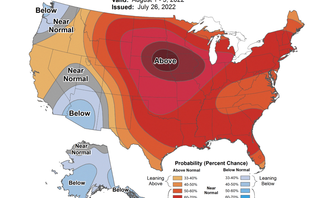 FI Morning Grain Comments 07/27/22