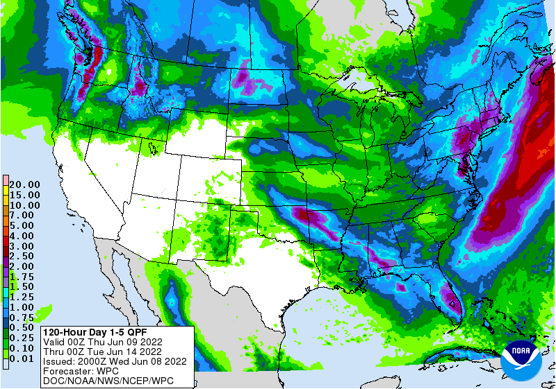 FI Evening Grain Comments 06/08/22