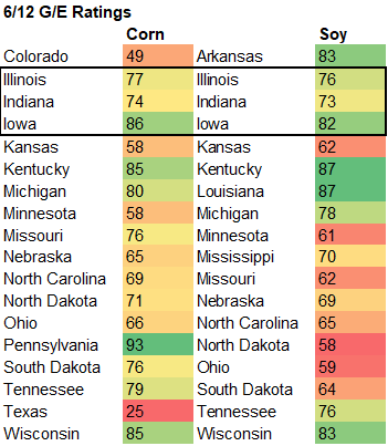 FI Evening Grain Comments 06/16/22