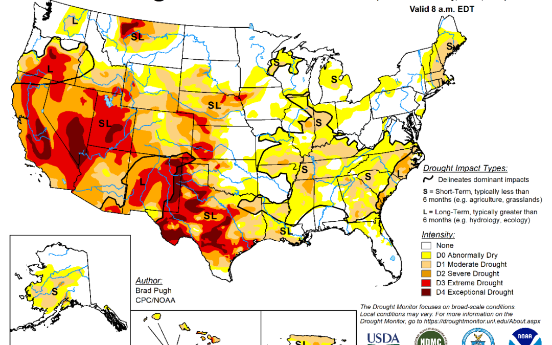 FI Morning Grain Comments 07/07/22