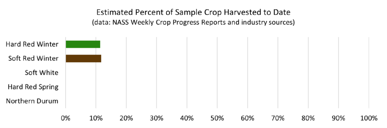 Chart, bar chart, histogram

Description automatically generated