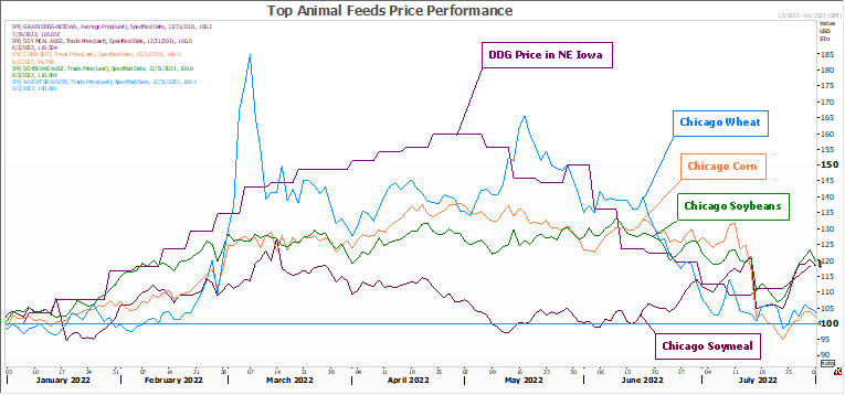 FI Evening Grain Comments 08/02/22