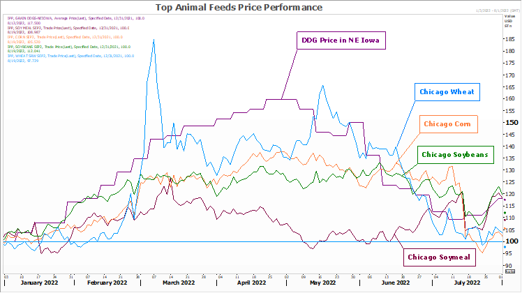 FI Evening Grain Comments 08/19/22