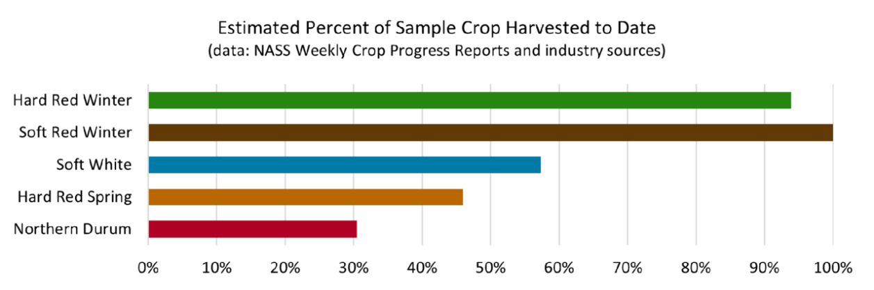Chart, bar chart

Description automatically generated
