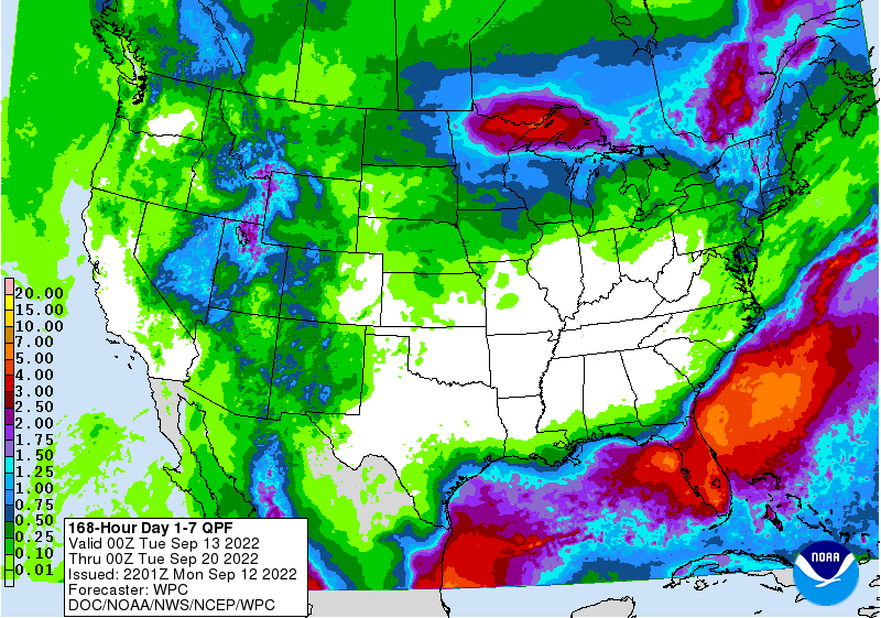 FI Evening Grain Comments 09/12/22