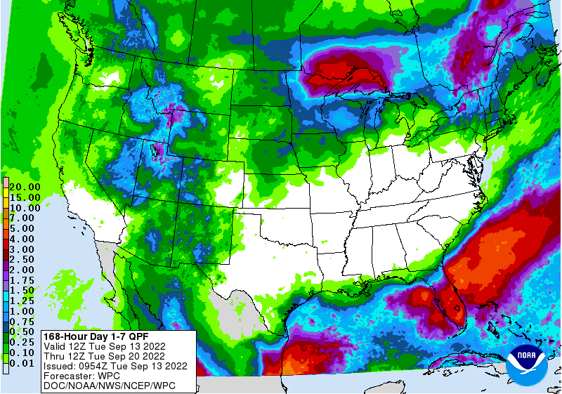 FI Evening Grain Comments 09/13/22