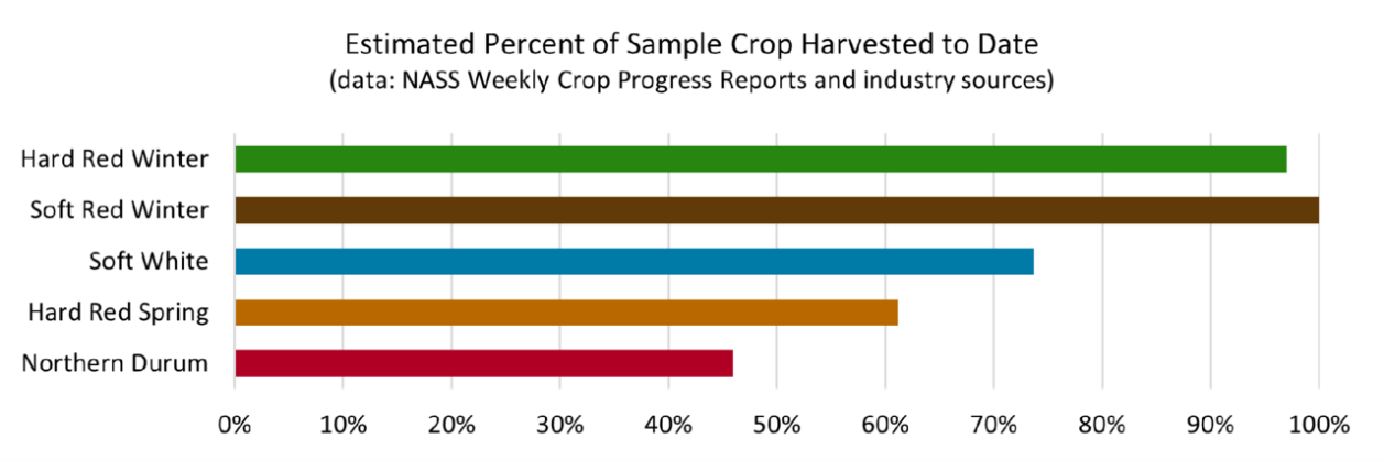 Chart, bar chart

Description automatically generated