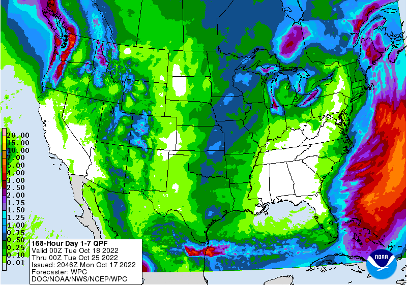 FI Evening Grain Comments 10/17/22