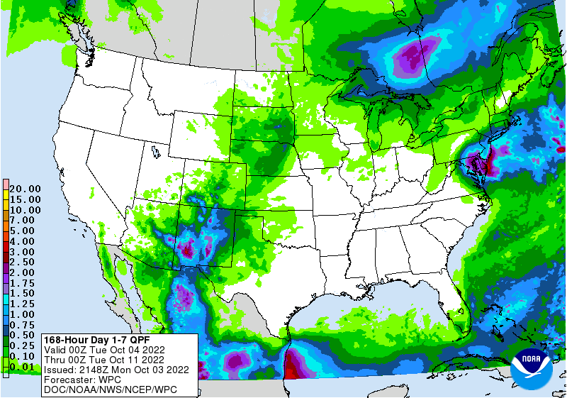 FI Evening Grain Comments 10/03/22