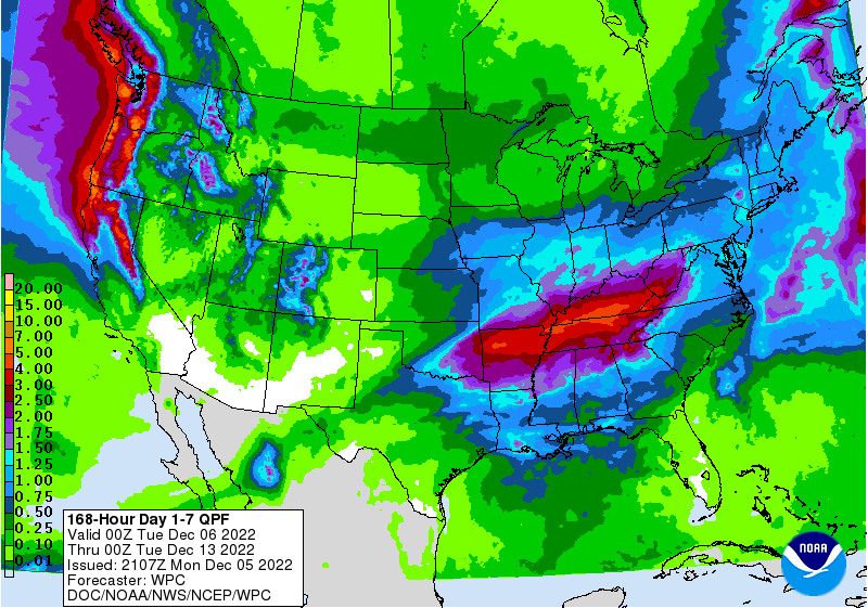 FI Evening Grain Comments 12/05/22